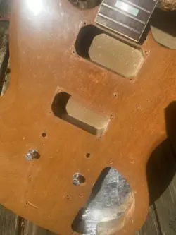 SG BODY