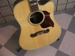 ACOUSTIC GUITAR MINT