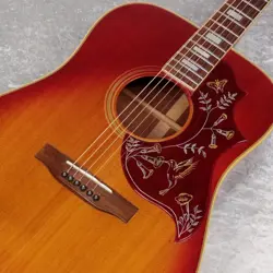 HUMMINGBIRD CUSTOM SAFE