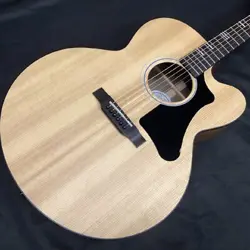 G-200 EC ACOUSTIC