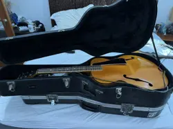 GUITAR KGN-32