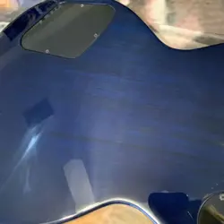 BLUE BLUEBERRY
