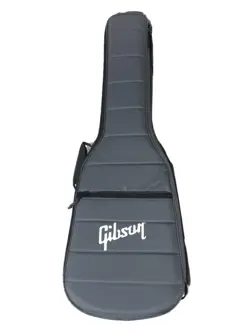 PAUL GIG BAG