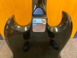 SPECIAL SG MODEL