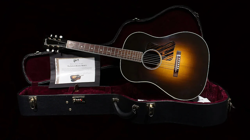 JACKSON BROWNE MODEL