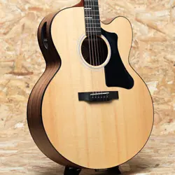 GIBSON: G-200 EC
