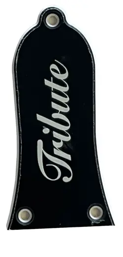 CUSTOM FOR GIBSON EPIPHONE GUITARS TRUSS ROD COVER  3 SCREWS 2 PLY BLACK