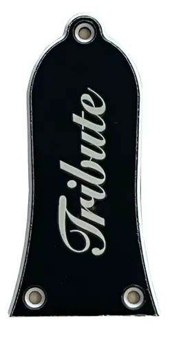 CUSTOM FOR GIBSON EPIPHONE GUITARS TRUSS ROD COVER  3 SCREWS 3 PLY BLACK