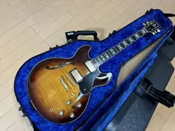 GIBSON DELUXE PROTECTOR