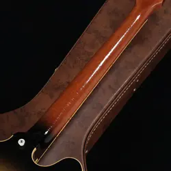 THE REGAL ES-335