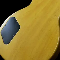 GIBSON CUSTOM SHOP / HISTORIC COLLECTION 1960 LES PAUL SPECIAL SINGLE CUT