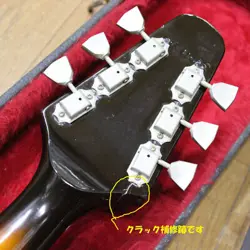 GOLDBURST 1981 MADE.