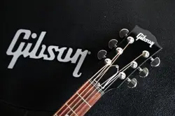 EBONY GLOSS 2023