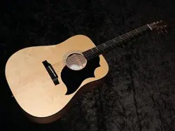 GIBSON BIRD NATURAL
