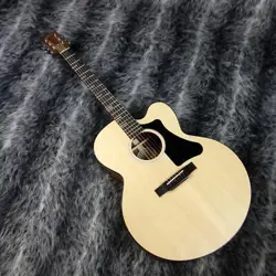 GIBSON GENERATION COLLECTION G 200 EC