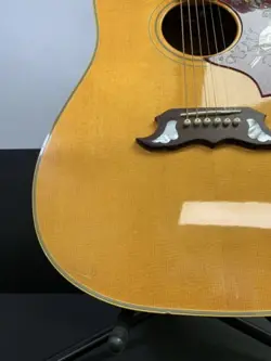 ACOUSTIC GUITAR 2007