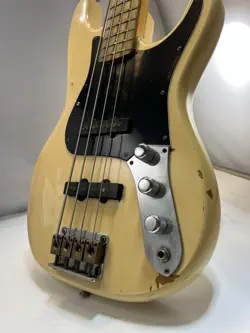 BY GIBSON BASS