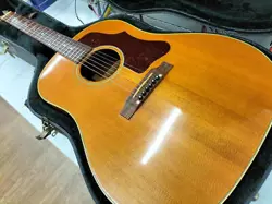 GIBSON / J-50 (NO241119)