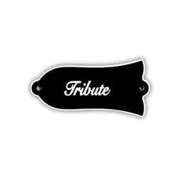 LEFT-HAND TRIBUTE LES PAUL TRUSS ROD COVER FOR GIBSON GUITARS, ACCESSORY