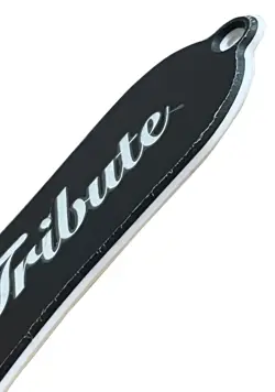 GUITAR PICKGUARD PARTS FOR GIBSON EPIPHONE GUITAR TRUSS ROD COVER 3 HOLES BLACK