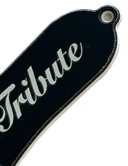 GUITAR PARTS PICKGUARD FOR GIBSON EPIPHONE GUITAR TRUSS ROD COVER 3 HOLES BLACK