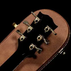 CUSTOM EBONY 2001