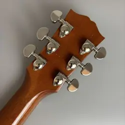 2017 HUMMINGBIRD