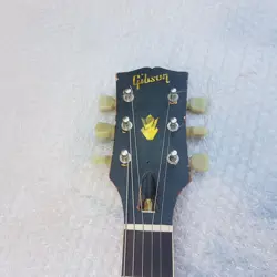 STANDARD CUSTOM USA