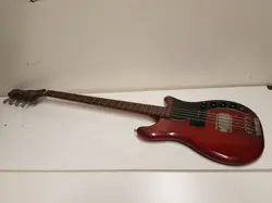 USA SLIM