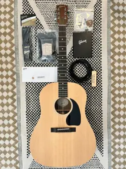 GUITAR USA MINT