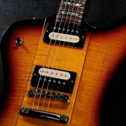 FIREBIRD SAFE