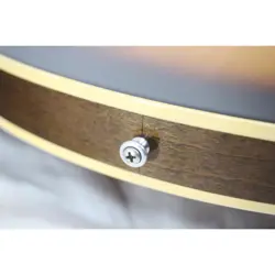 GIBSON ES-335 SAFE