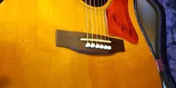 GIBSON J-50 1969