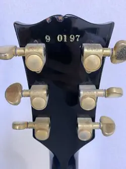 BLACK 1989 ELECTRIC
