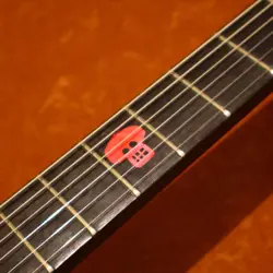 GIBSON VOODOO SG 2004 HEAVY AGED DIMARZIO P.U. MODIFIED
