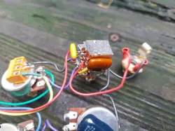 HARNESS BASS CUT