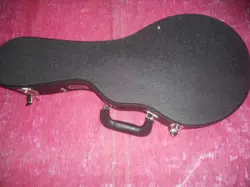 GIBSON F5 MANDOLIN CASE NEW MINT $139