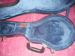 F5 MANDOLIN