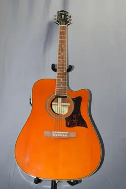 MCE ACOUSTIC-ELECTRIC