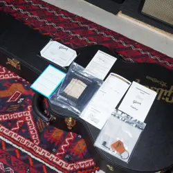 ORIANTHI SJ-200