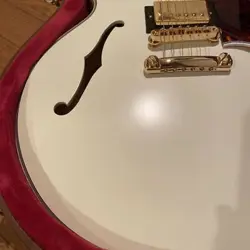 CUSTOM ES-355 SAFE