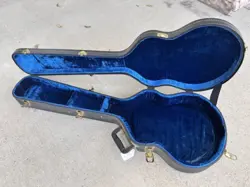 SHELL BASS GUITAR