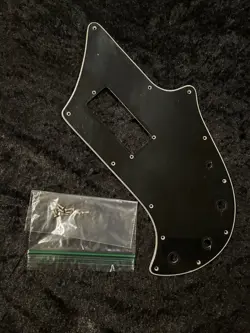 GUARD W/ SCREWS