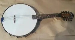 VINTAGE GIBSON KALAMAZOO  BANJOLIN   MANDOLIN  BANJO