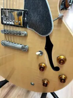 LOCKING TAILPIECE