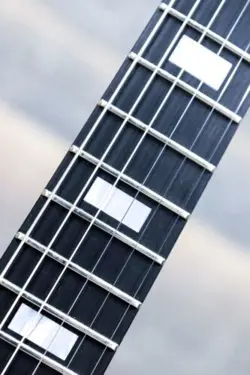 WITH BIGSBY TAILPIECE