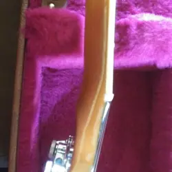 PAUL DELUXE 1976
