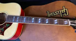 DOVE ORIGINAL ACOUSTIC-ELECTRIC