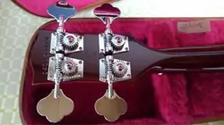 CASE ELECTRIC BASS
