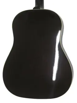 STANDARD 2023 ECO